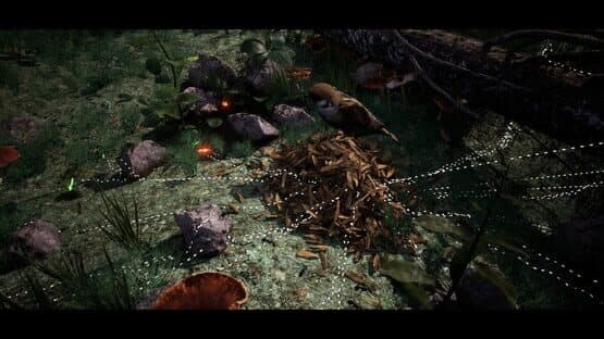 Soilborn: Ant Empire — screenshot 3