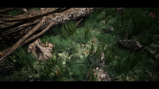 Soilborn: Ant Empire — screenshot 4