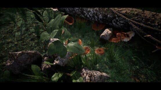 Soilborn: Ant Empire — screenshot 5