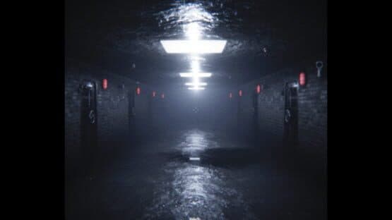 D.I.M. — screenshot 2