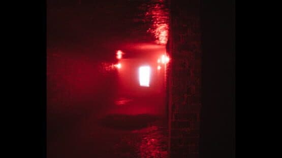 D.I.M. — screenshot 5