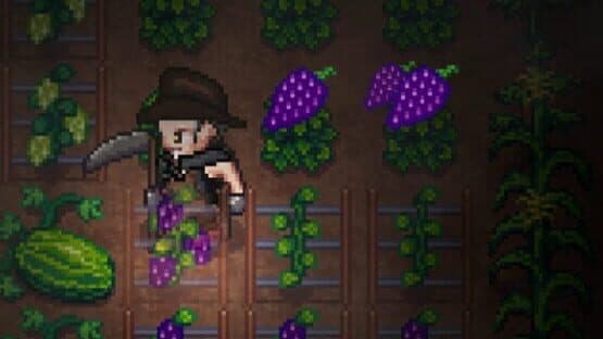 Fangs to Fields — screenshot 3