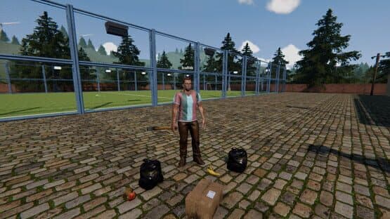 Football Pitch Simulator — screenshot 6