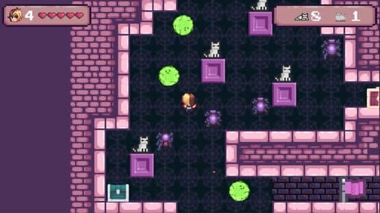 Kitty Rush — screenshot 5