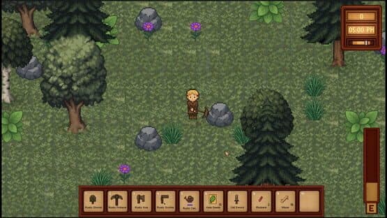 Kingdom of Hope — screenshot 6