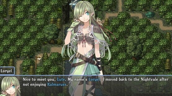 Dungeon Dreams Wanderers — screenshot 1