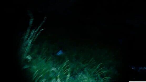 Get Them To Safety — screenshot 2