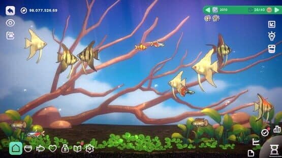 With Me: Aquatic Time — screenshot 2
