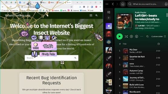 My Little Spider — screenshot 4