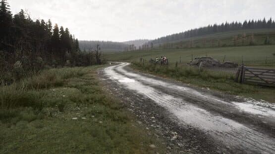 Assetto Corsa Rally — screenshot 3