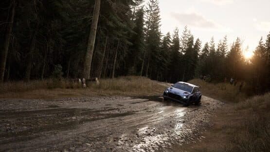 Assetto Corsa Rally — screenshot 4