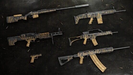 Insurgency: Sandstorm - Wheat Weapon Skin Set — screenshot 2