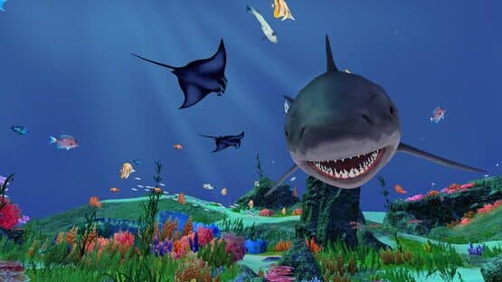 Fancy Fishing VR — screenshot 1