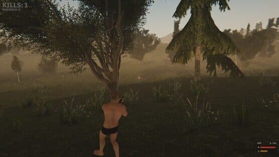 Valley of the foxes — screenshot 3