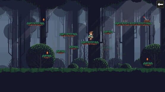 Platform Challenge — screenshot 3