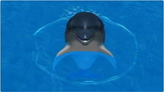 My Dolphin — screenshot 1