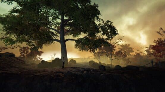 Adele: Following the Signs — screenshot 5