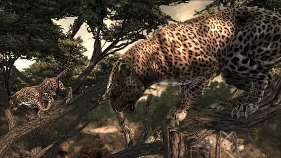 Cabela's Dangerous Hunts 2011 — screenshot 3