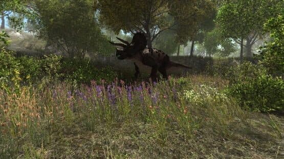 Dinosaur Forest — screenshot 5