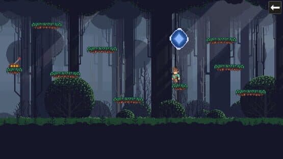 Platform Challenge — screenshot 2