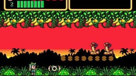 Wonder Boy III: Monster Lair — screenshot 6