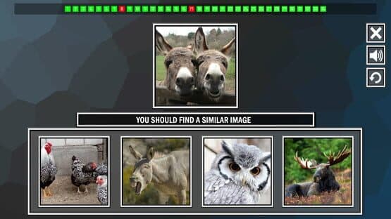 Repeat the image: Animals — screenshot 1
