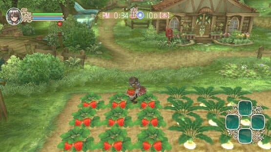 Rune Factory Frontier — screenshot 7