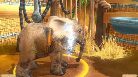 Wildlife Camp — screenshot 5