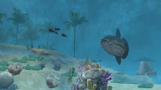 Wildlife Park 2: Marine World — screenshot 4