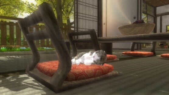 Kitten Super Adventure — screenshot 1