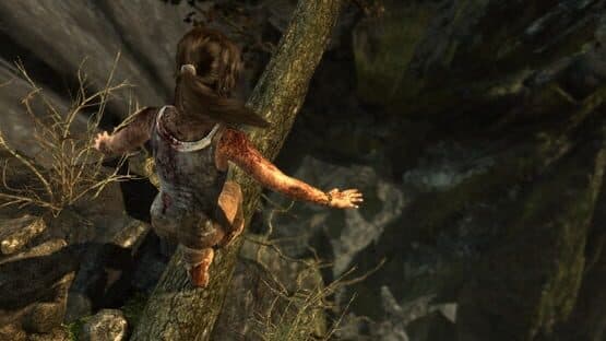 Tomb Raider: Definitive Edition — screenshot 3