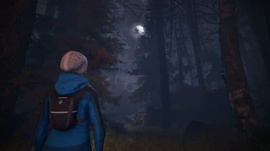 Through the Woods — screenshot 5
