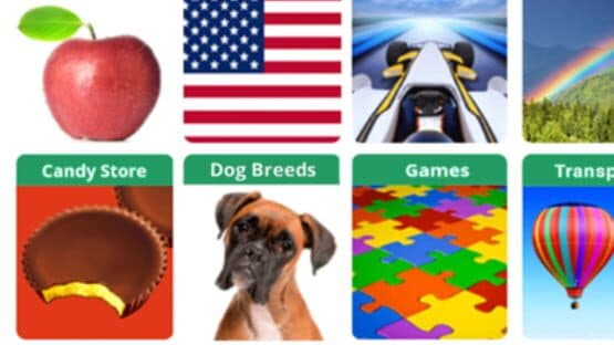 100 Pics Quiz — screenshot 1