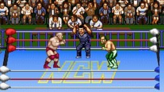 Natsume Championship Wrestling — screenshot 4