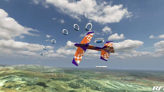 RealFlight 8 — screenshot 4