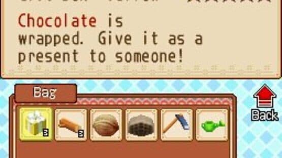Harvest Moon DS: Grand Bazaar — screenshot 3