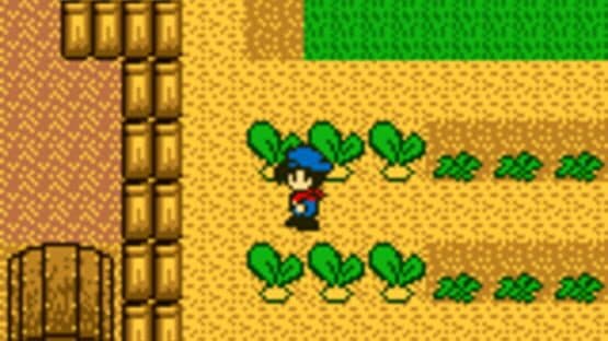 Harvest Moon GB — screenshot 7