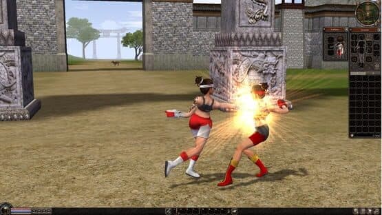 Metin2 — screenshot 2