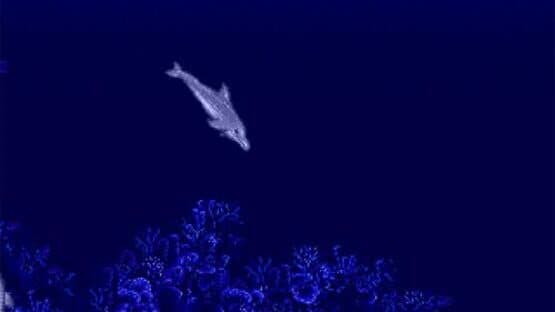Ecco the Dolphin — screenshot 1