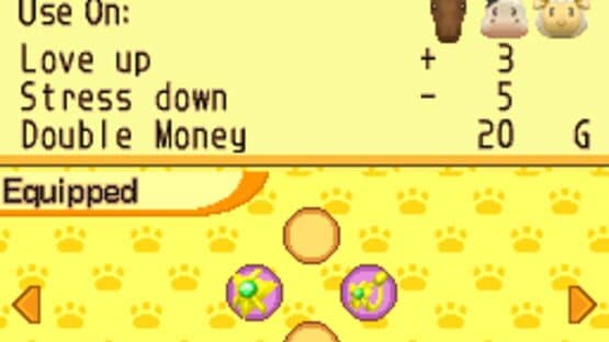 Harvest Moon DS: Island of Happiness — screenshot 4