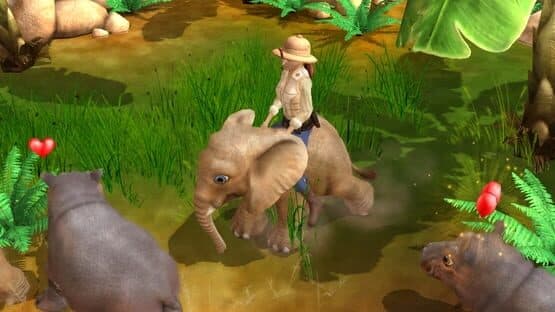 Wildlife Camp — screenshot 3