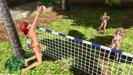 Dead or Alive Paradise — screenshot 4