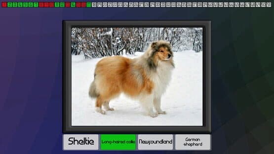 Test your knowledge: Dogs — screenshot 4