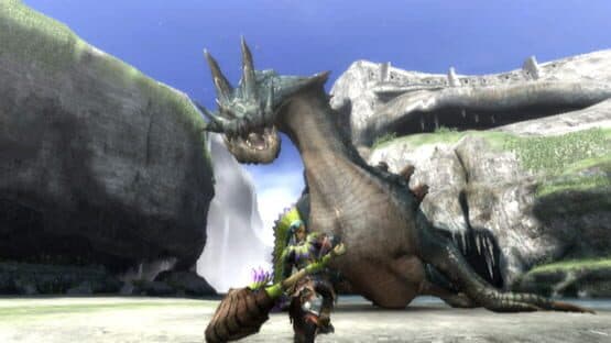 Monster Hunter Tri — screenshot 5