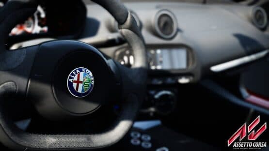 Assetto Corsa — screenshot 5