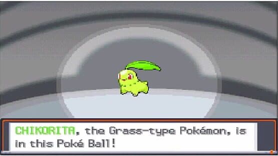 Pokémon SoulSilver Version — screenshot 5