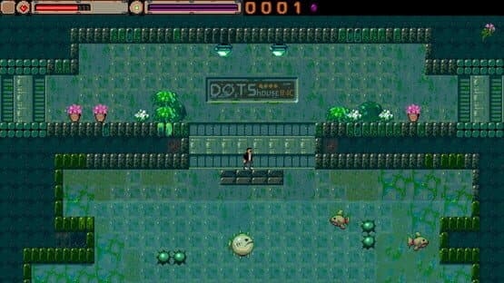 External Visions — screenshot 2