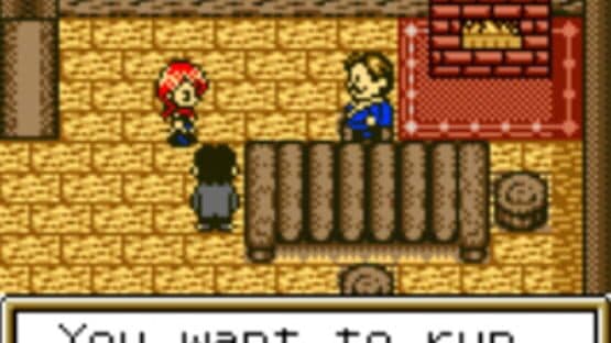 Harvest Moon 2 GBC — screenshot 7