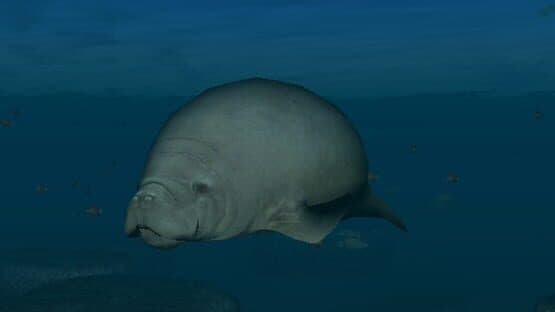 Endless Ocean: Blue World — screenshot 6