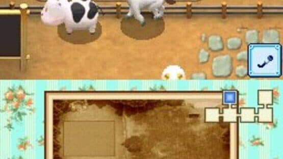 Harvest Moon DS: Grand Bazaar — screenshot 1